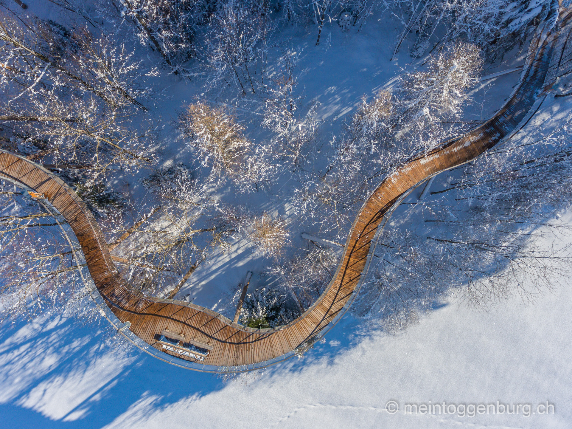 Baumwipfelpfad Neckertal im Winter